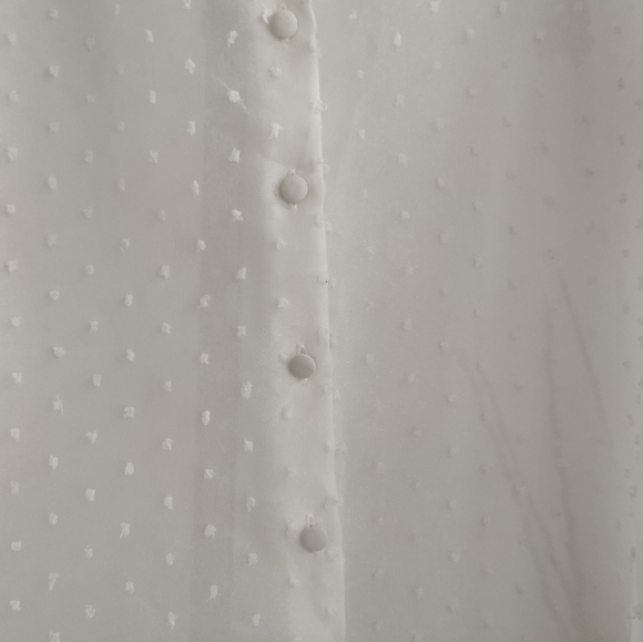 Zara Organza Puff Sleeve Blouse - Picture 7 of 10